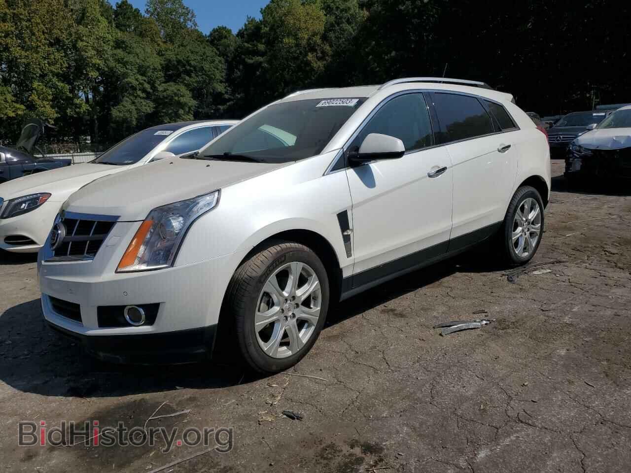 Photo 3GYFNBEY7AS620340 - CADILLAC SRX 2010