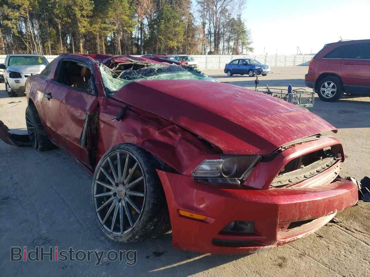 Photo 1ZVBP8AM3E5273834 - FORD MUSTANG 2014