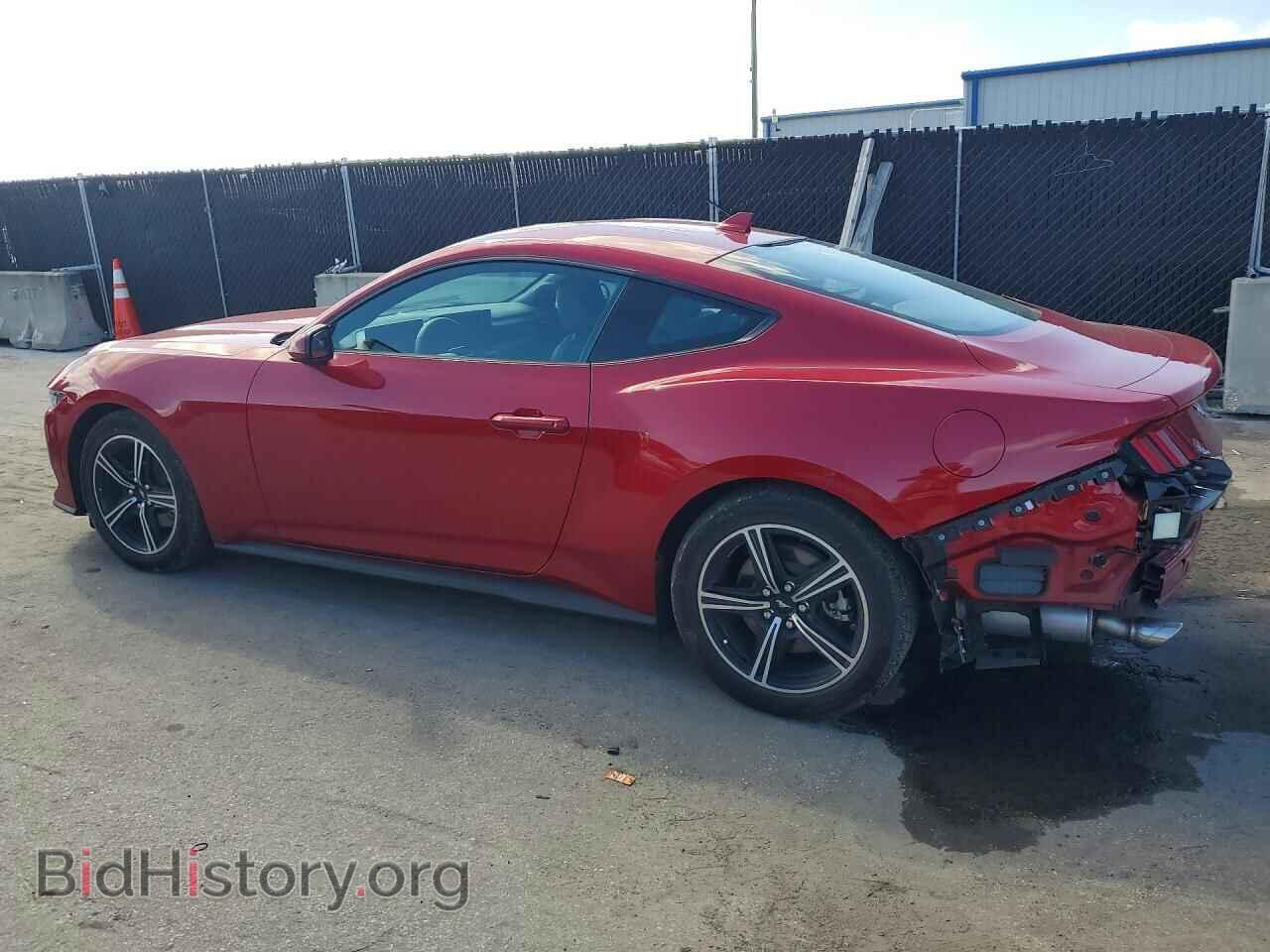 2024 FORD MUSTANG - VIN: 1FA6P8TH2R5118224 - Фото 2