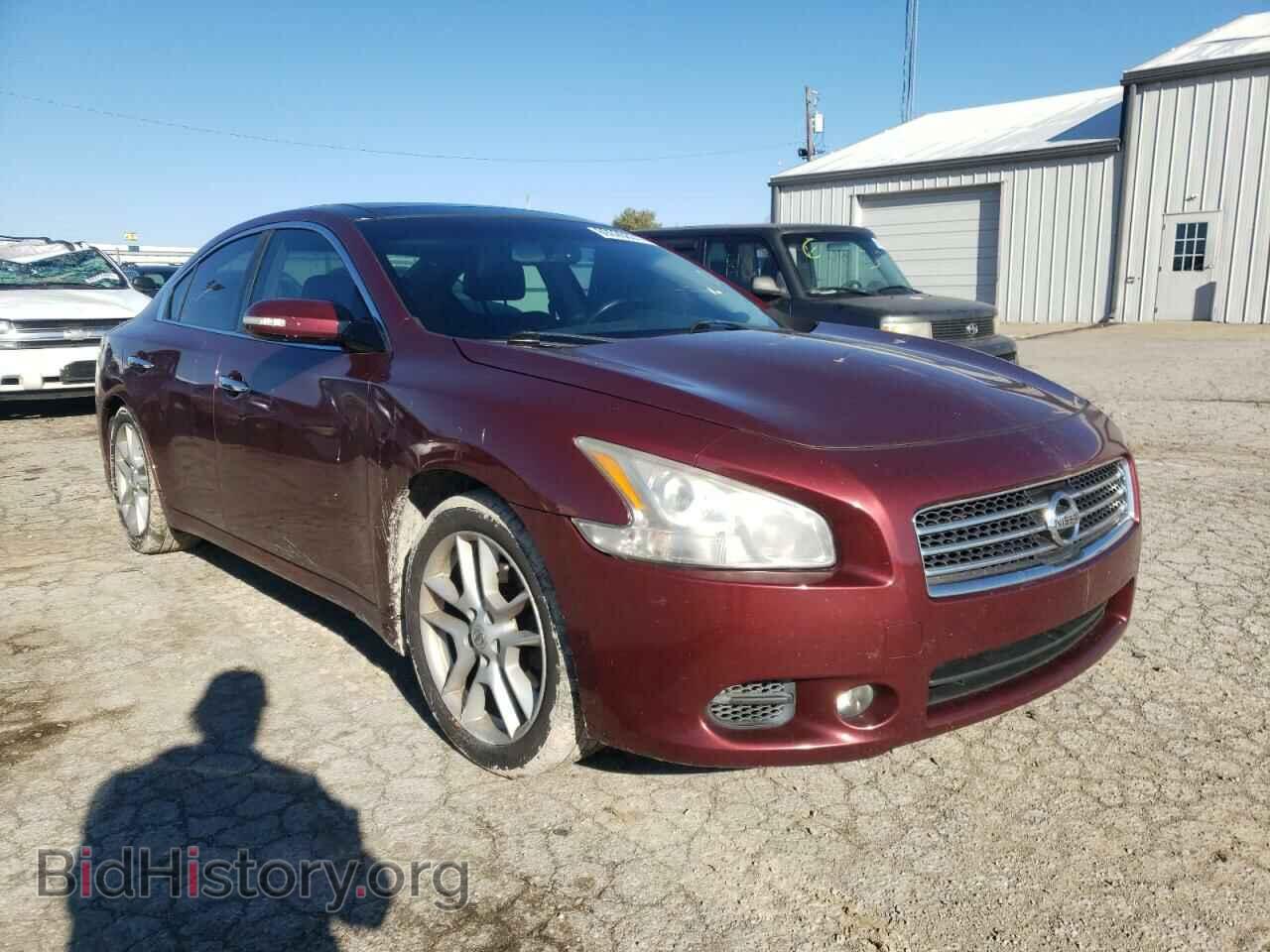 Photo 1N4AA5AP8AC862284 - NISSAN MAXIMA 2010