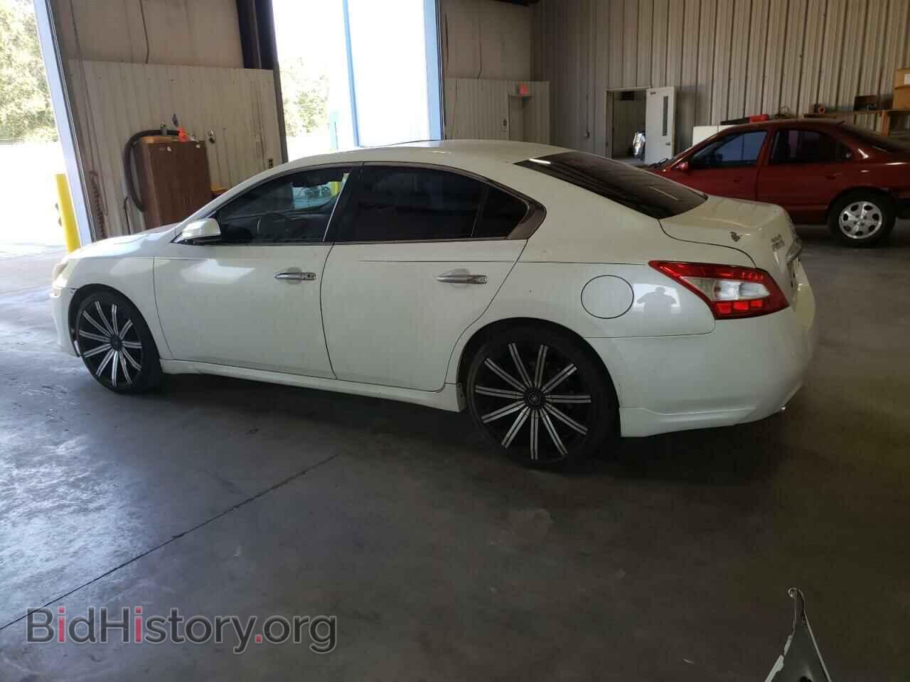 2009 NISSAN MAXIMA - VIN: 1N4AA51E79C816357 - Фото 2