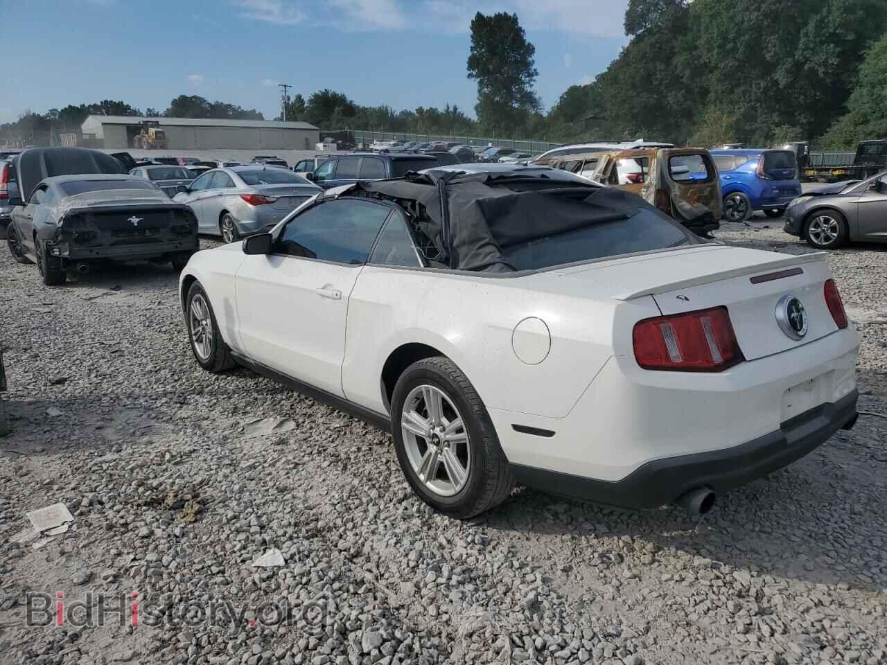 2010 FORD ALL Models - VIN: 1ZVBP8EN9A5178434 - Фото 2