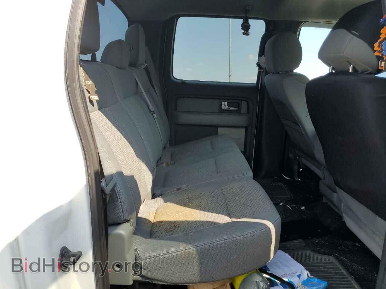 2013 FORD F-150 - VIN: 1FTFW1EF7DFC81521 - Фото 10