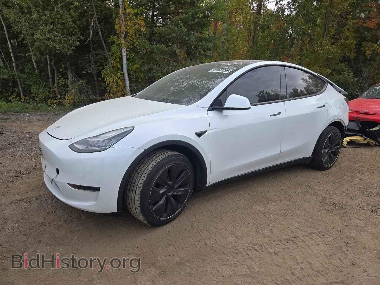 Photo 5YJYGDEE4LF045197 - TESLA MODEL Y 2020