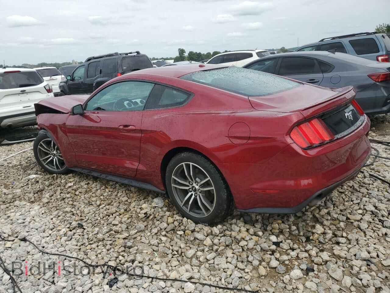 2015 FORD ALL Models - VIN: 1FA6P8TH1F5341804 - Фото 2