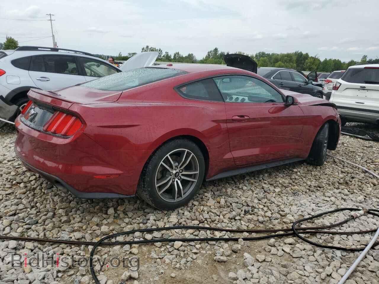 2015 FORD ALL Models - VIN: 1FA6P8TH1F5341804 - Фото 3