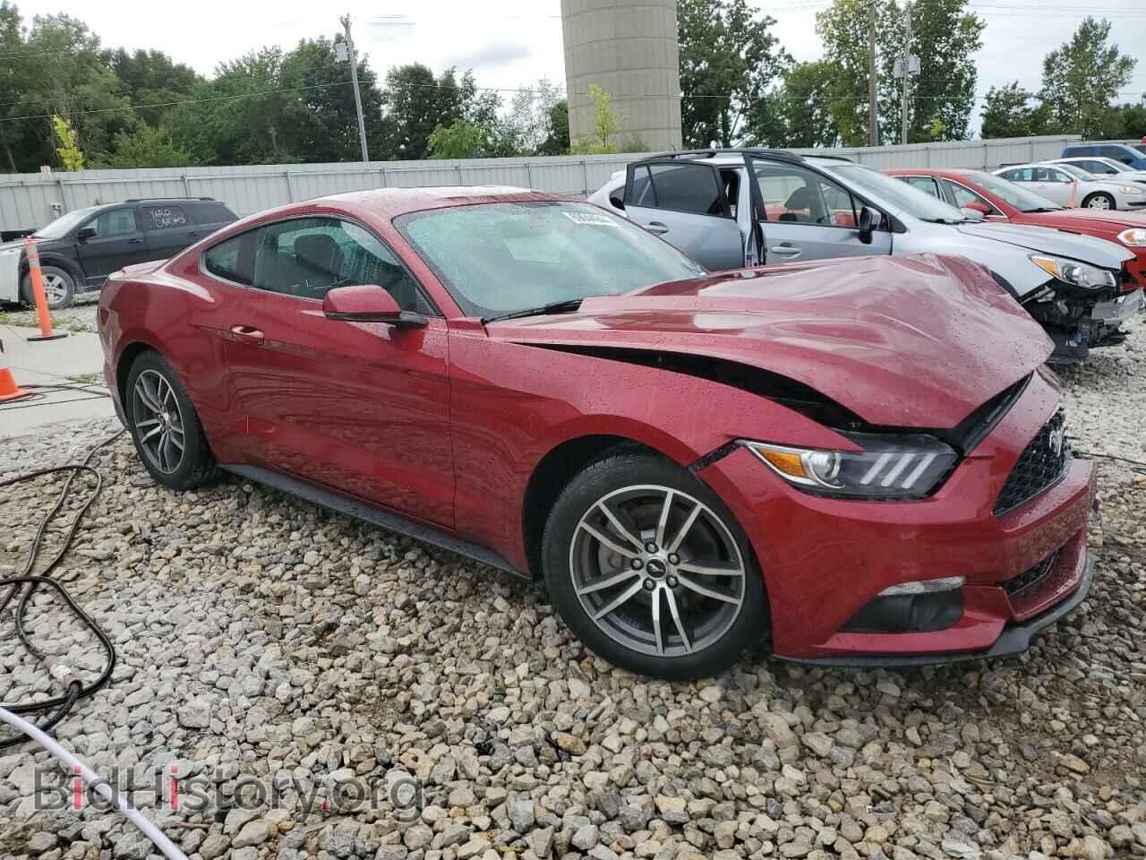 2015 FORD ALL Models - VIN: 1FA6P8TH1F5341804 - Фото 4