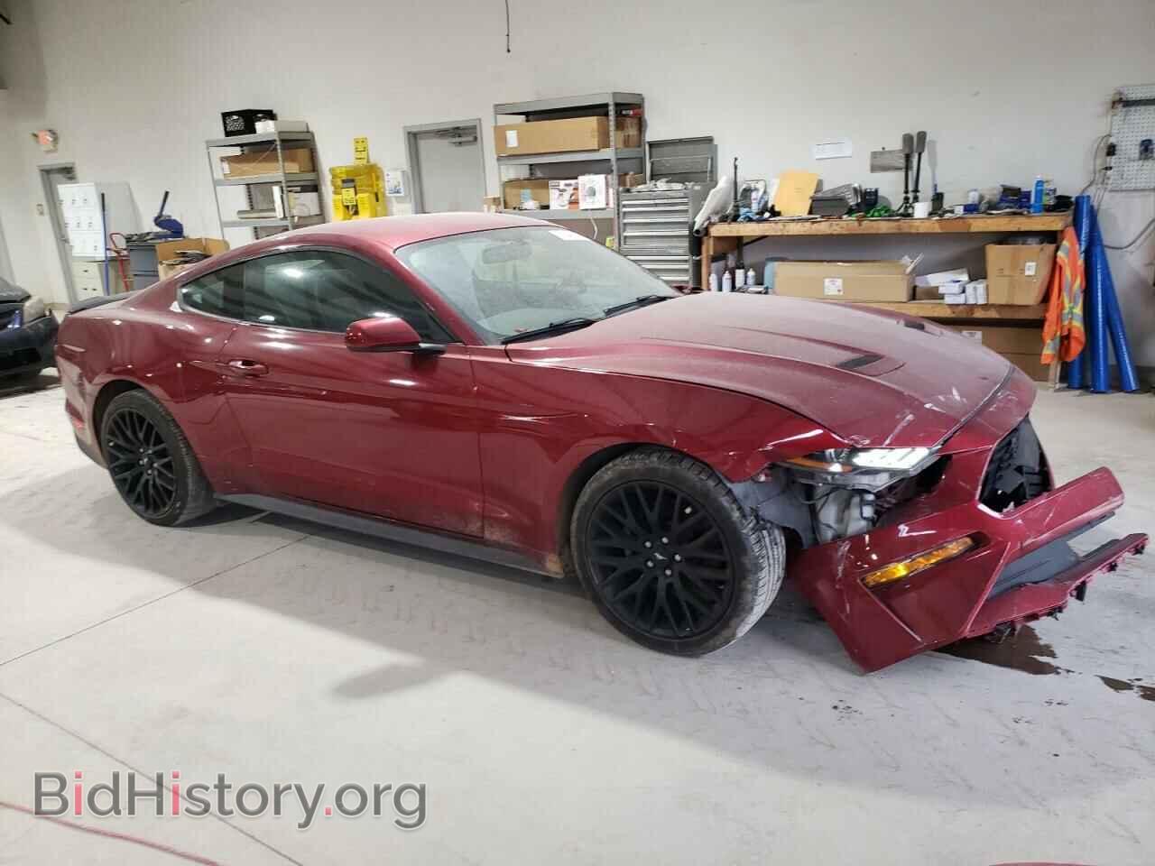 2019 FORD ALL Models - VIN: 1FA6P8TH2K5130380 - Фото 4