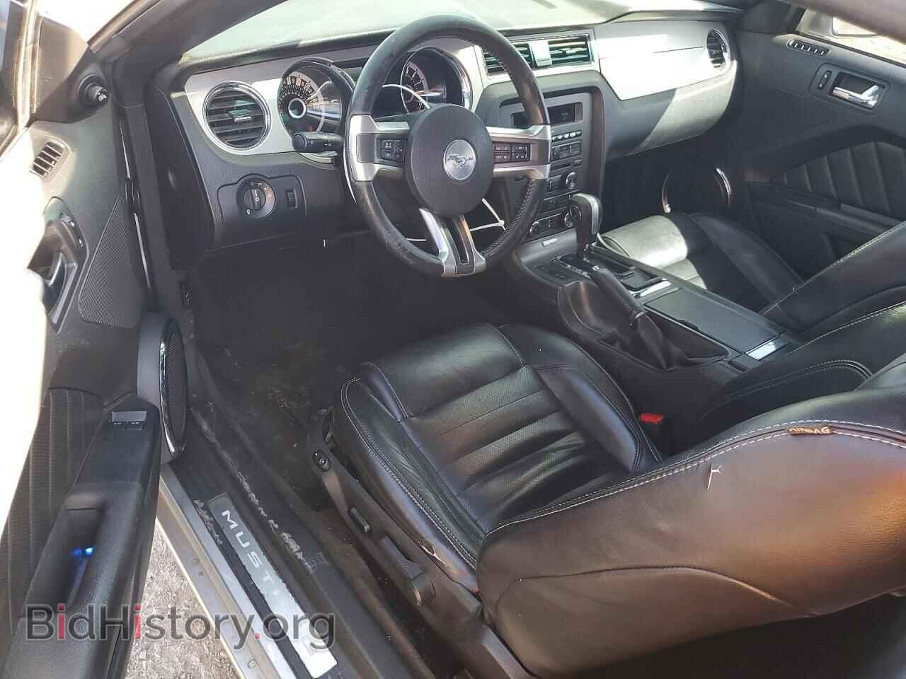 2013 FORD MUSTANG - VIN: 1ZVBP8AM6D5279559 - Фото 8