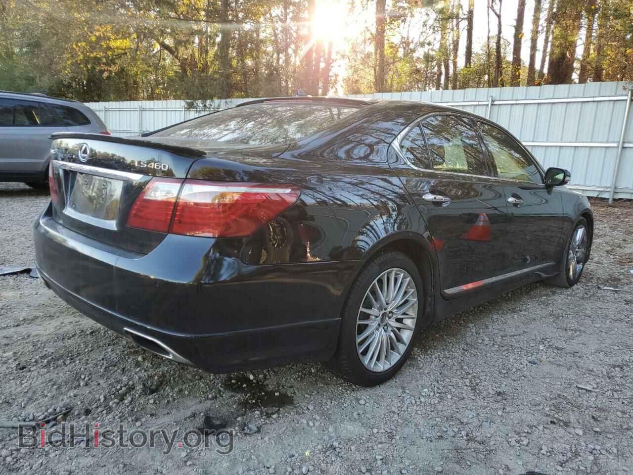 2010 LEXUS LS460 - VIN: JTHBL5EF8A5094898 - Фото 3