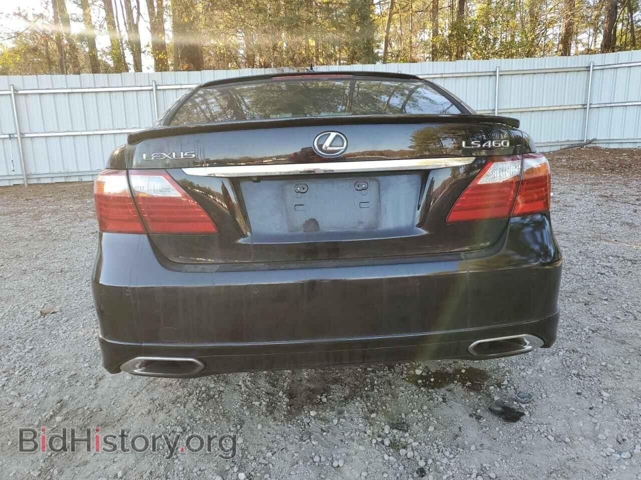 2010 LEXUS LS460 - VIN: JTHBL5EF8A5094898 - Фото 6