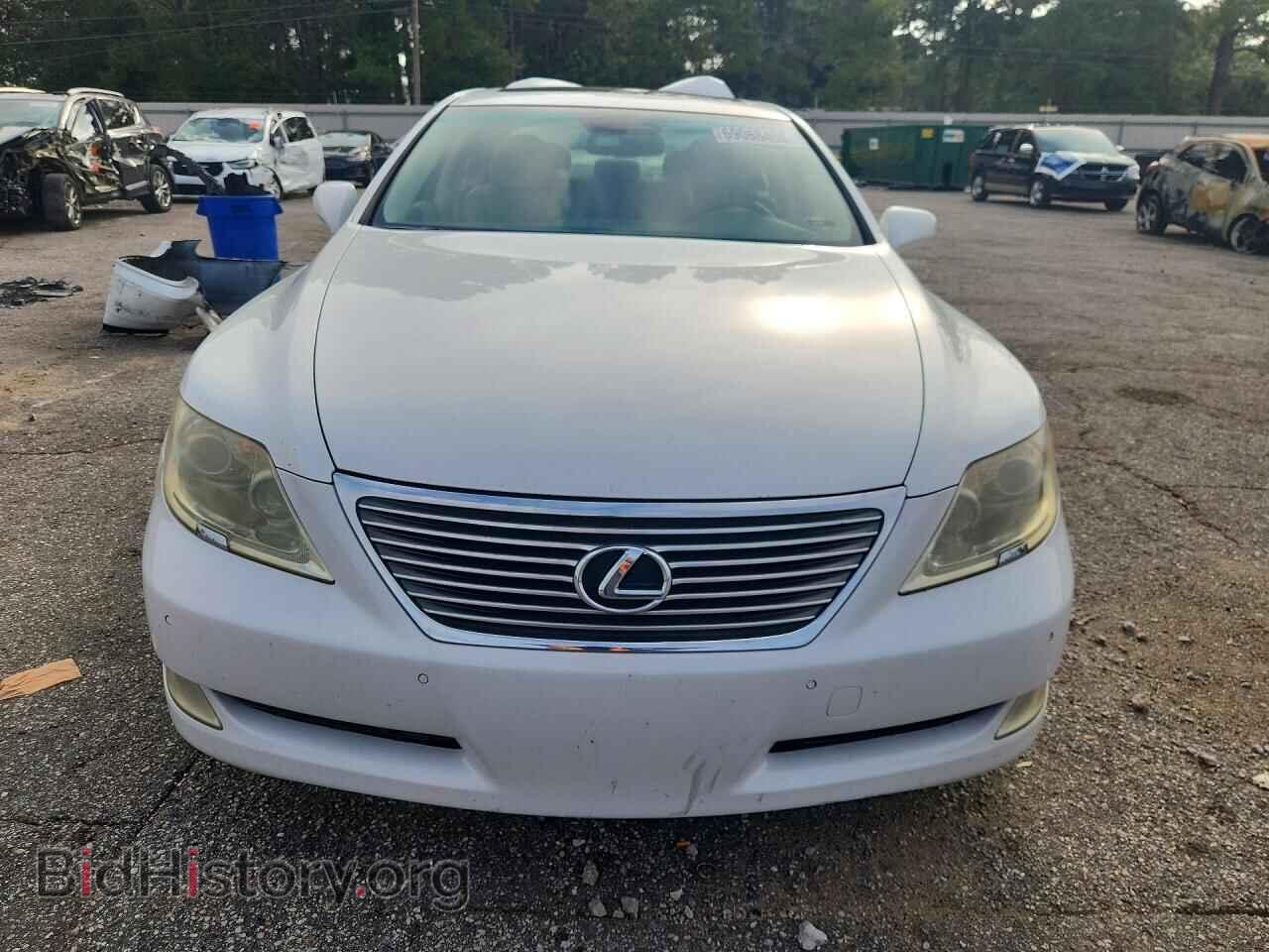 2008 LEXUS LS460 - VIN: JTHBL46F185060210 - Photo 5
