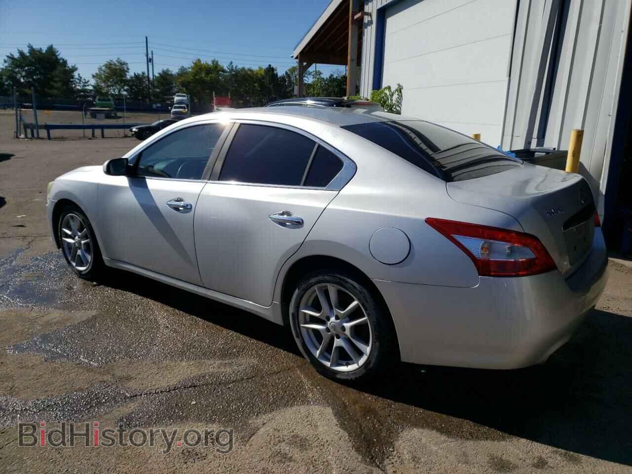 2011 NISSAN MAXIMA - VIN: 1N4AA5AP1BC801313 - Фото 2