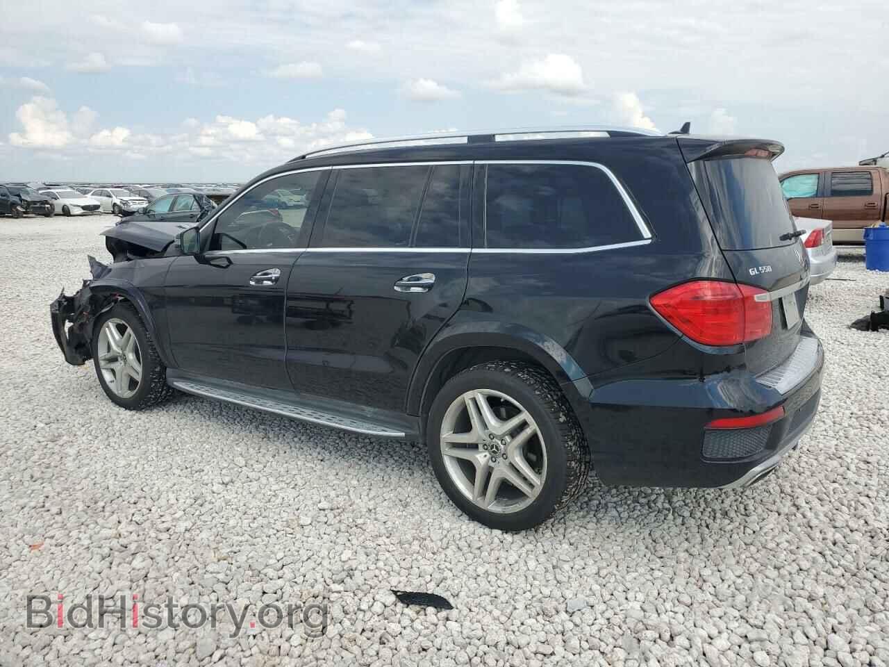 2013 MERCEDES-BENZ GL-CLASS - VIN: 4JGDF7DE3DA247541 - Фото 2