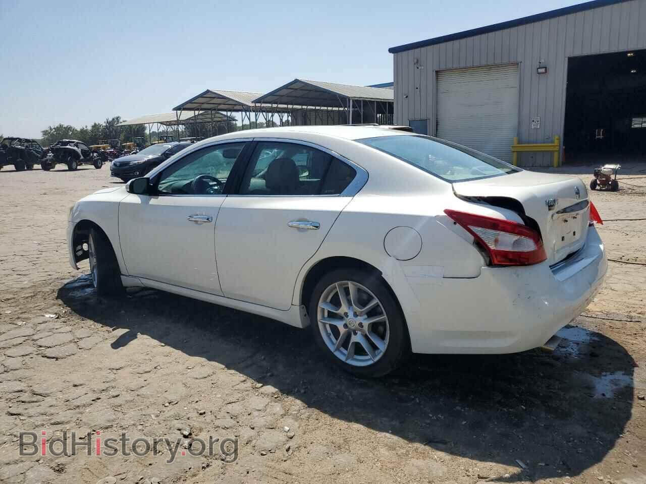 2009 NISSAN MAXIMA - VIN: 1N4AA51E49C848554 - Фото 2
