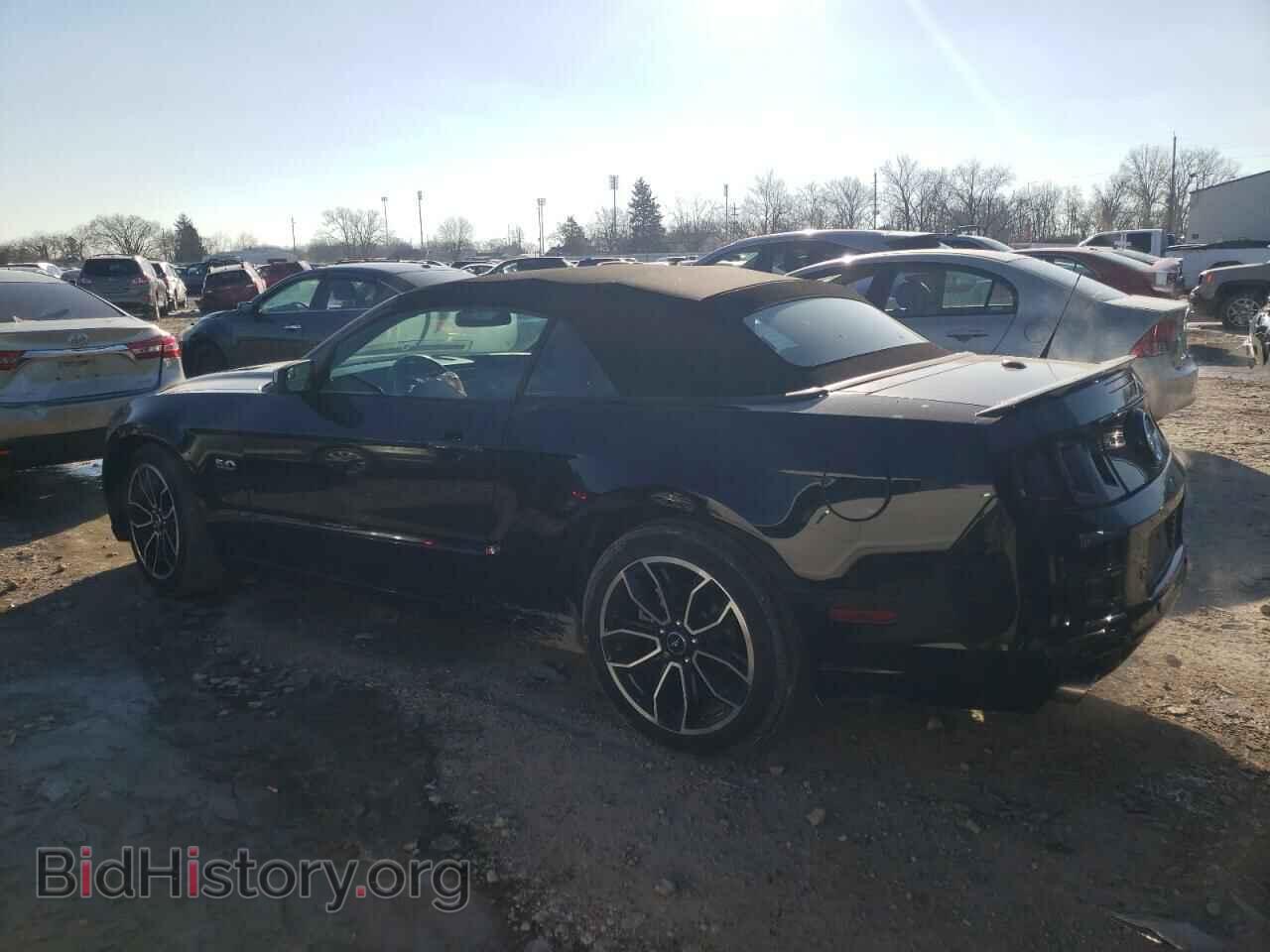 2014 FORD MUSTANG - VIN: 1ZVBP8FF7E5242161 - Фото 2