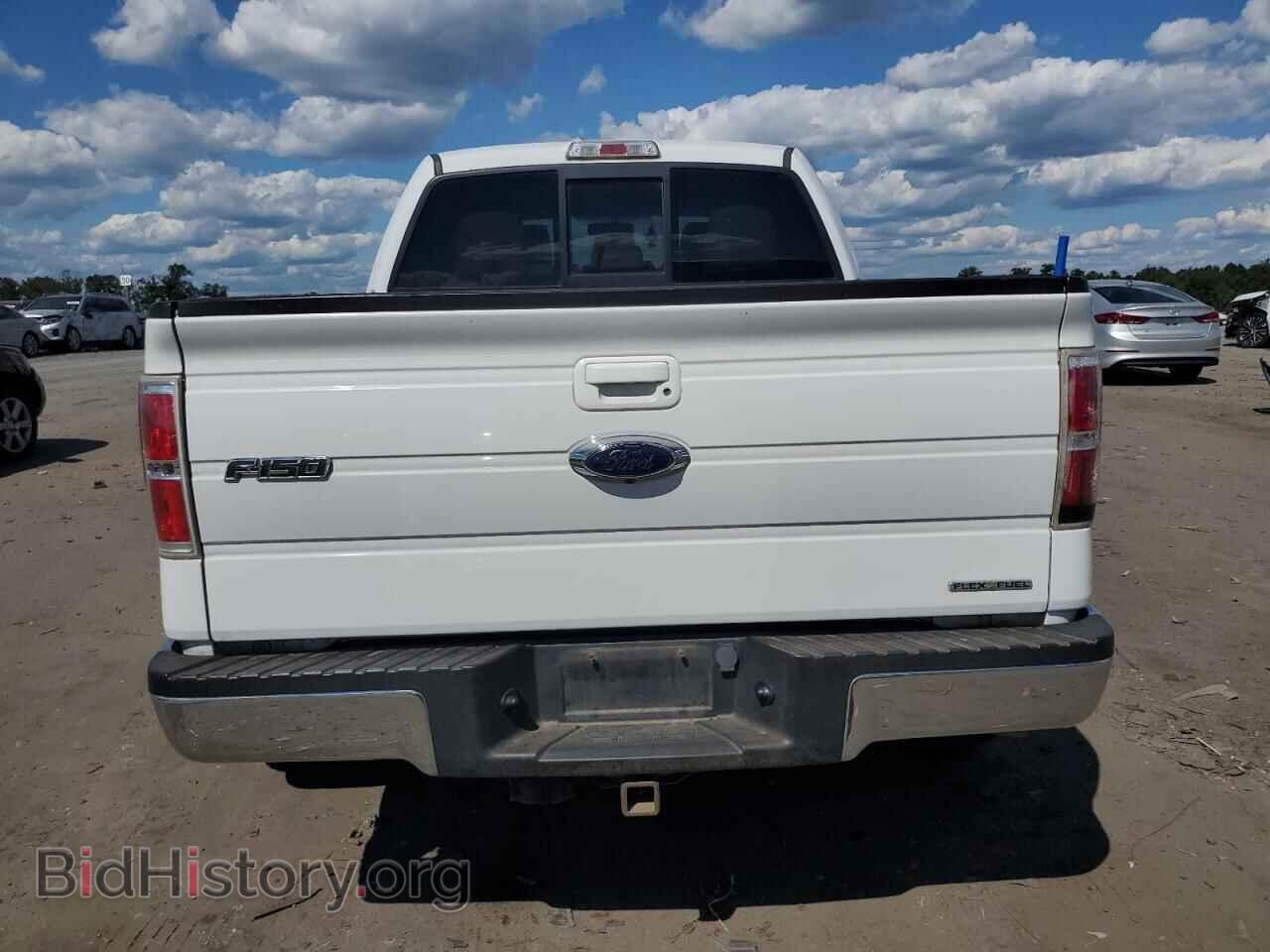 2013 FORD F-150 - VIN: 1FTFW1EF1DFD77709 - Фото 6