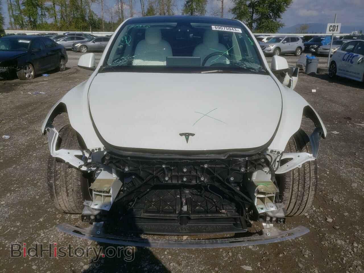 2023 TESLA MODEL Y - VIN: 7SAYGDEE4PF667324 - Фото 5