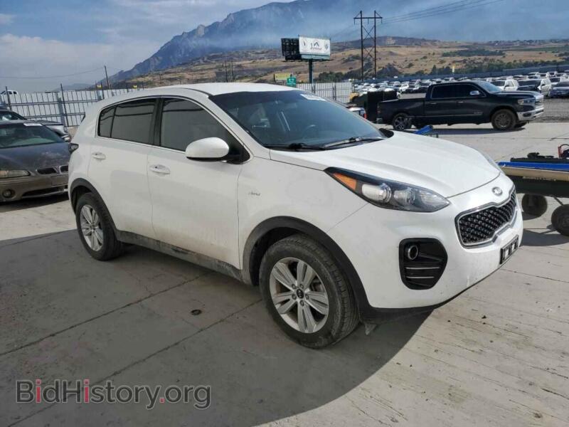 2017 Kia SPORTAGE (VIN KNDPMCAC2H7120186) — photo 4 of 13