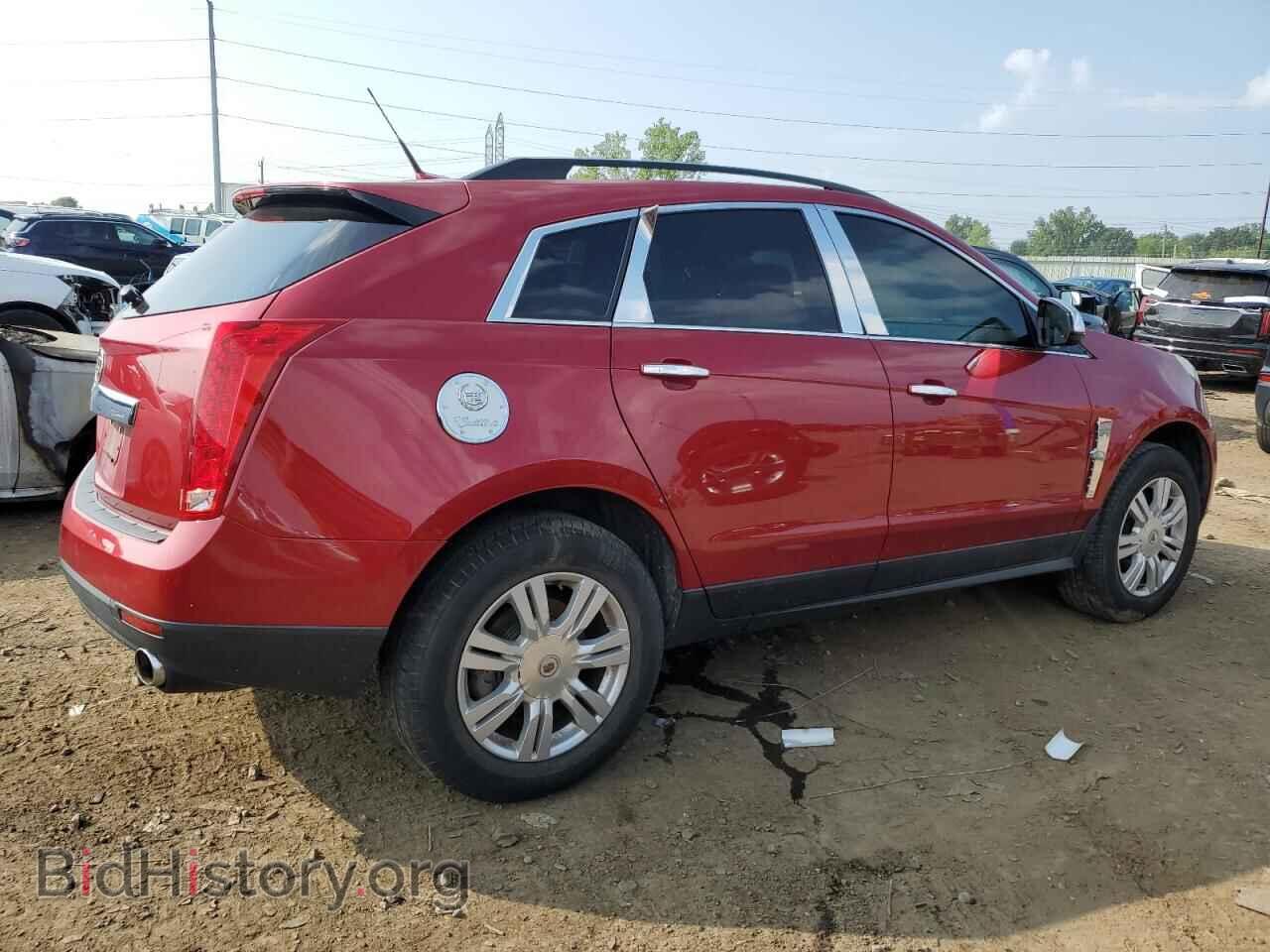 2010 CADILLAC SRX - VIN: 3GYFNGEY7AS589037 - Фото 3