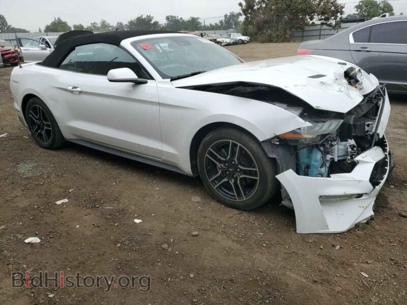 2021 Ford ALL MODELS (VIN 1FATP8UH1M5115308) — photo 4 of 12