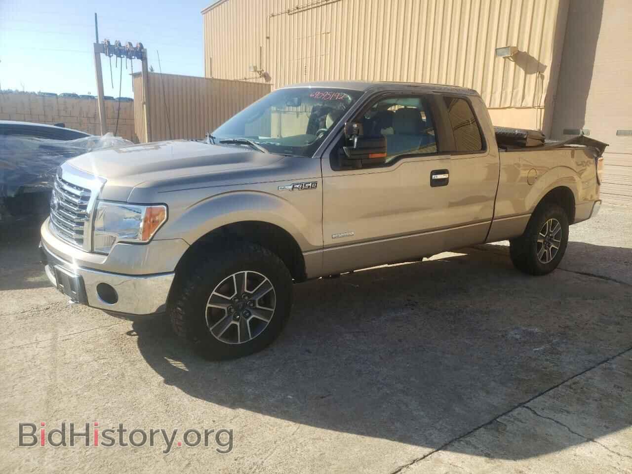 Photo 1FTFX1ET8BFD24439 - FORD F-150 2011