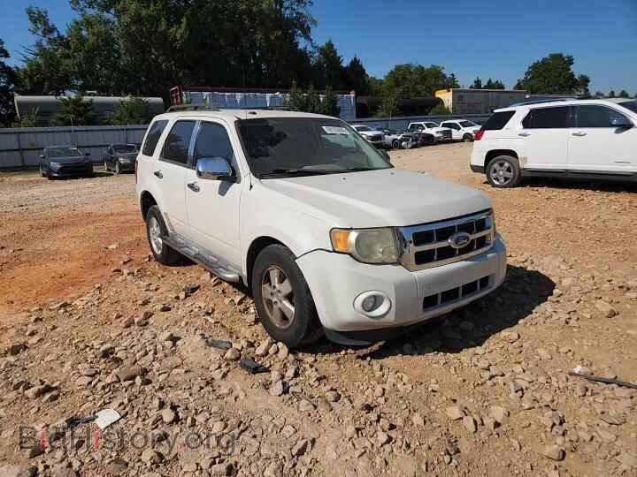 2010 FORD ESCAPE - VIN: 1FMCU0DG9AKA31645 - Фото 14