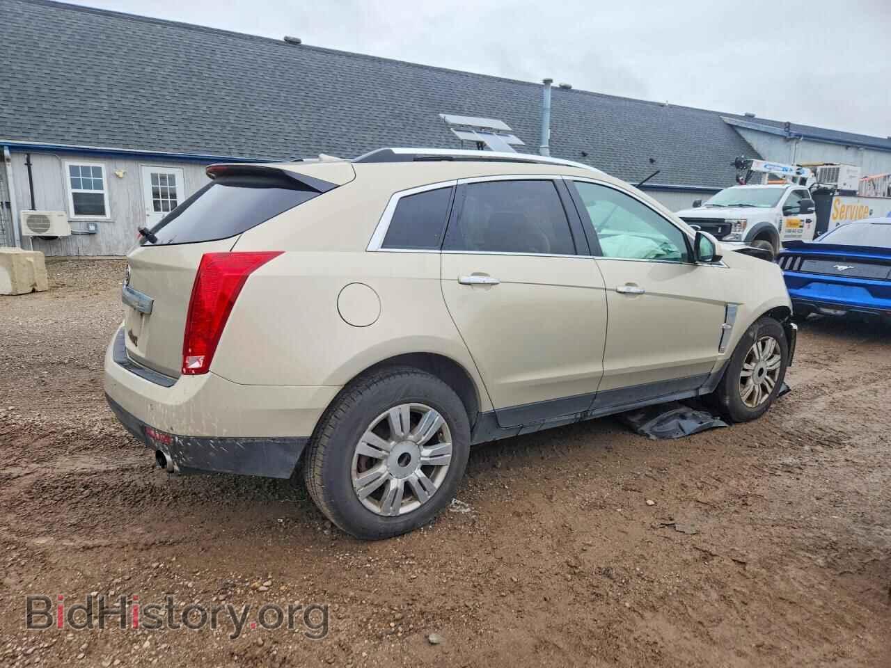 2011 CADILLAC SRX - VIN: 3GYFNAEY5BS515713 - Фото 3