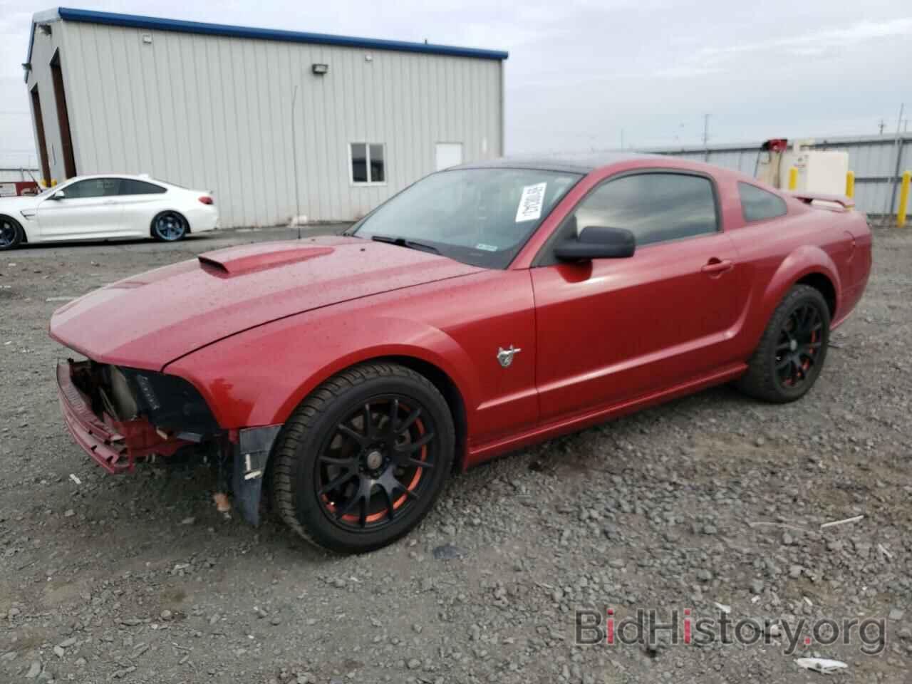 Photo 1ZVHT82H695114481 - FORD MUSTANG 2009