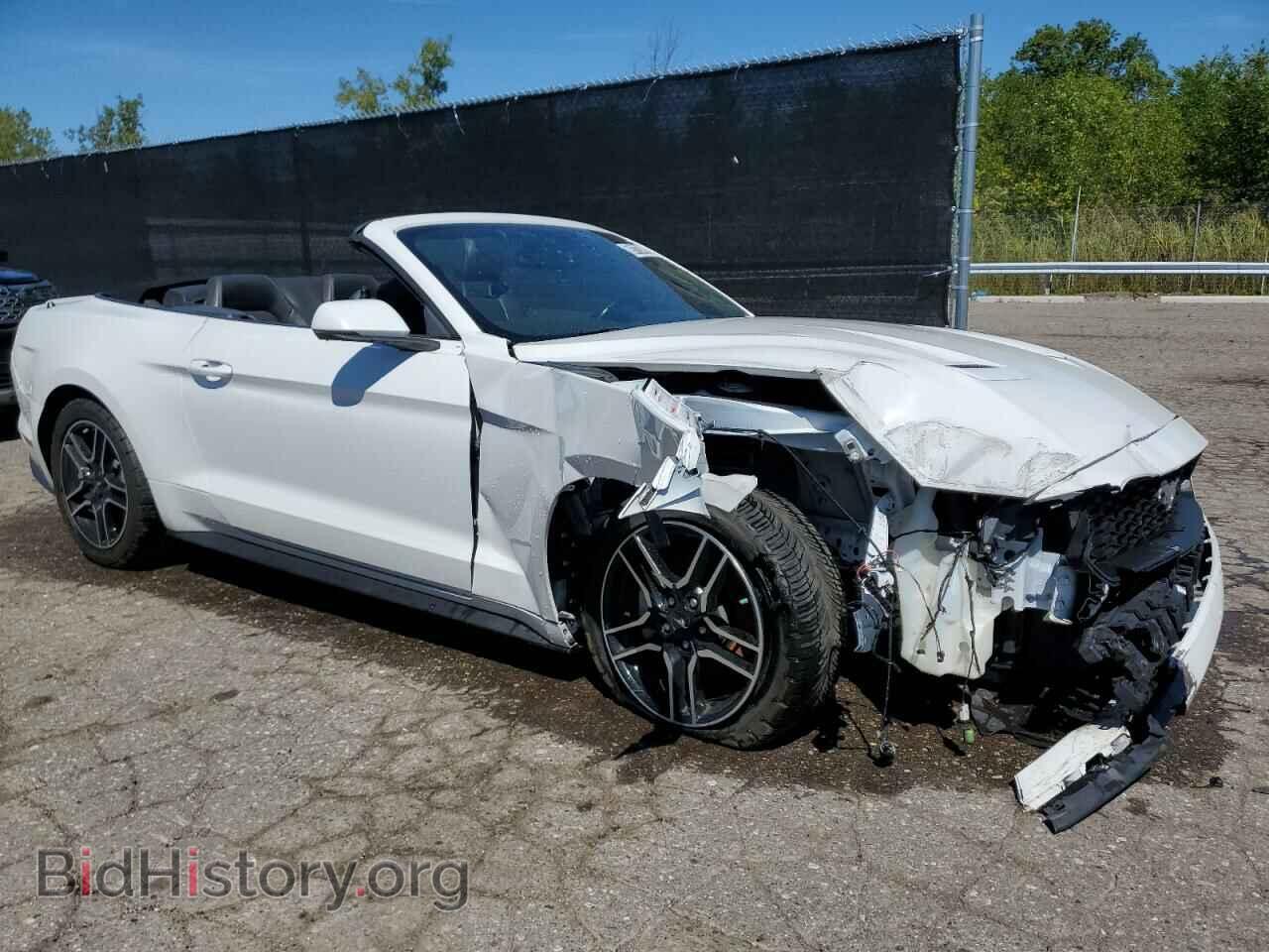 2019 FORD ALL Models - VIN: 1FATP8UH8K5151428 - Фото 4
