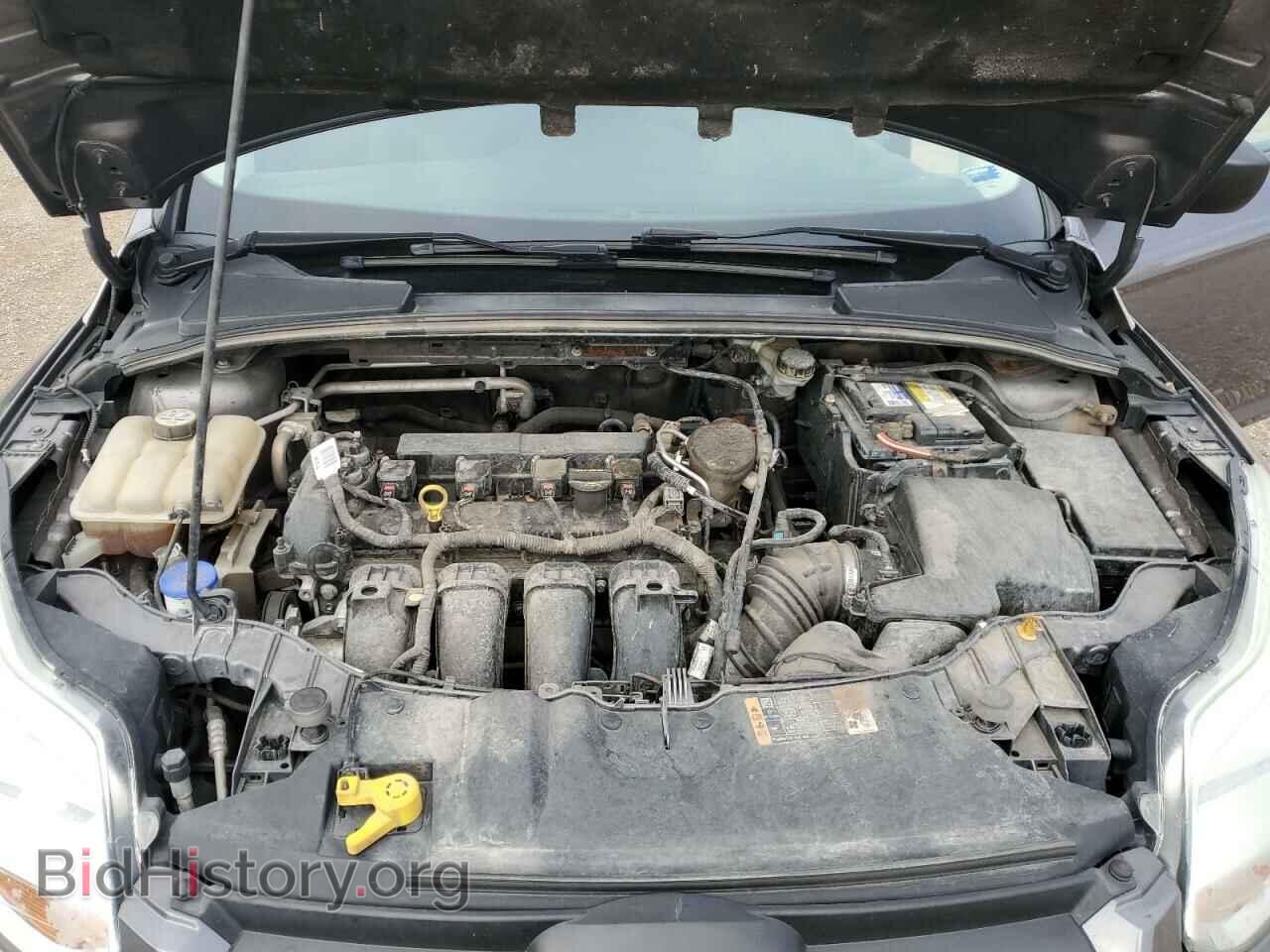 2014 FORD FOCUS - VIN: 1FADP3E2XEL381392 - Фото 11