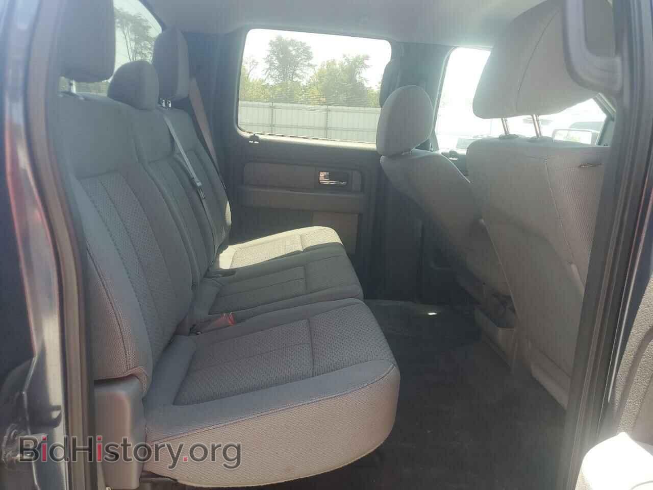 2014 FORD F-150 - VIN: 1FTEW1CM5EKF77384 - Фото 10