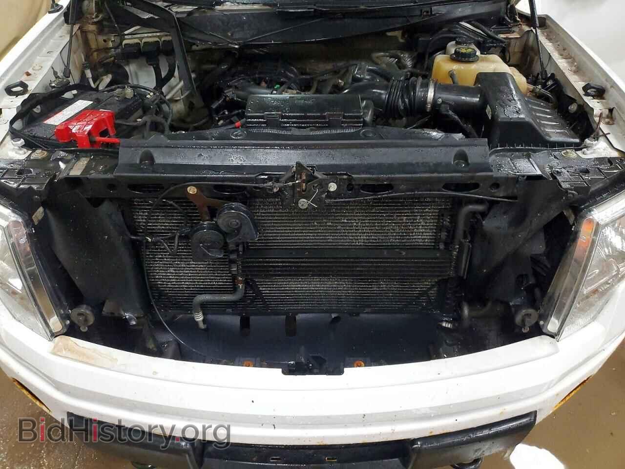 2013 FORD F150 - VIN: 1FTMF1EM3DKE53363 - Photo 11