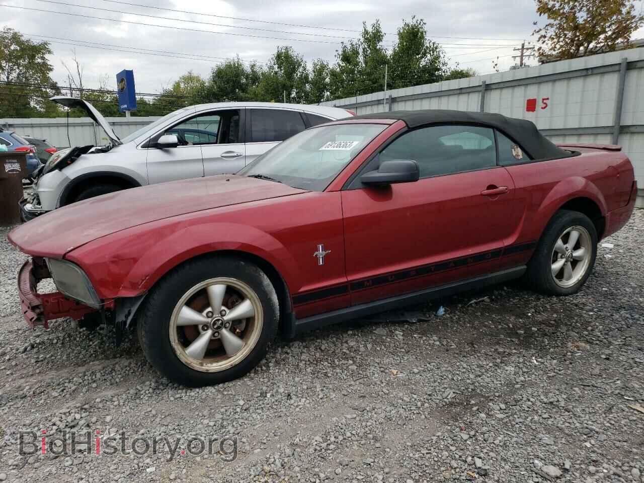Фотография 1ZVHT84N075267339 - FORD ALL Models 2007