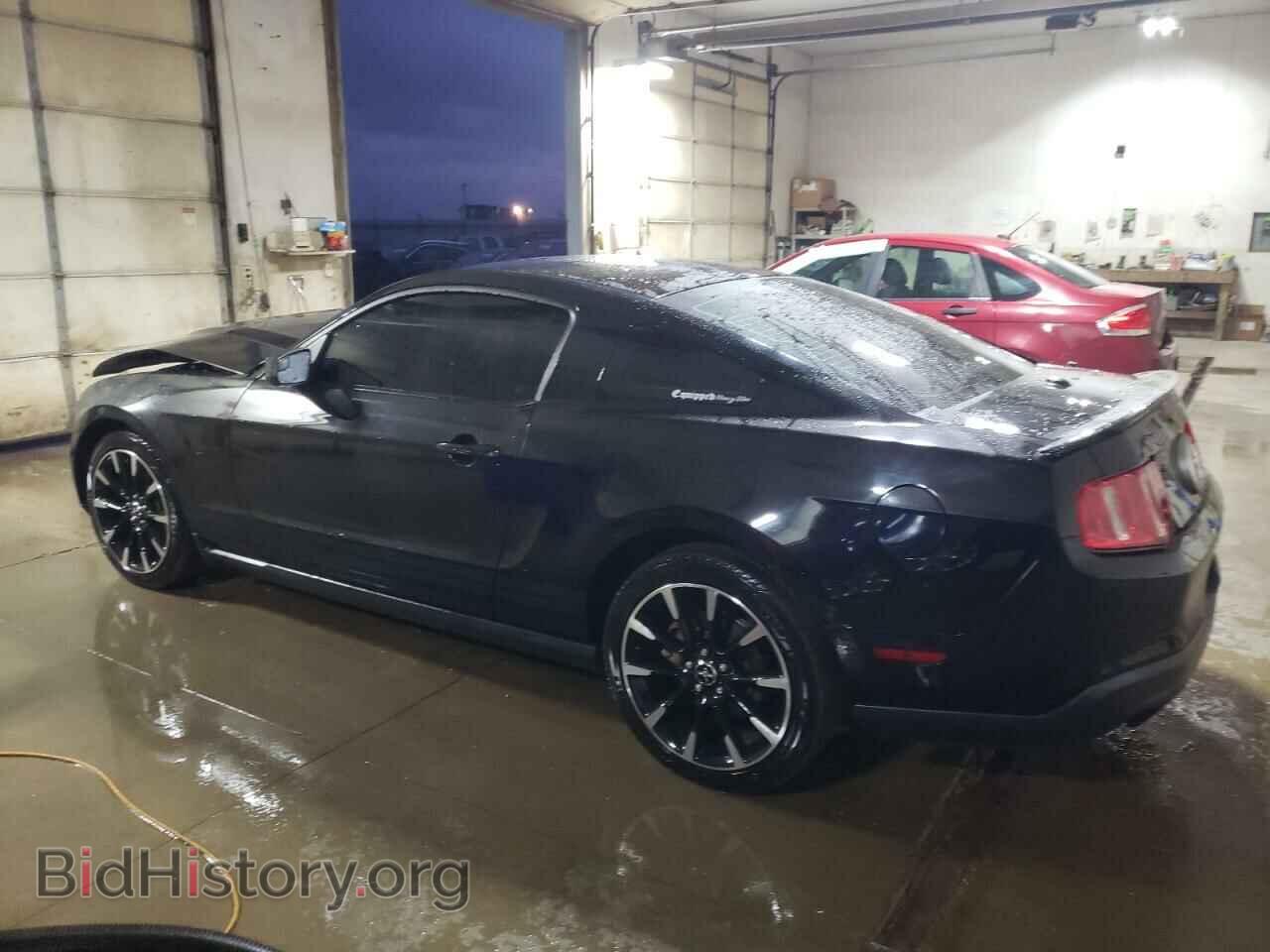 2012 FORD MUSTANG - VIN: 1ZVBP8AM1C5250419 - Фото 2