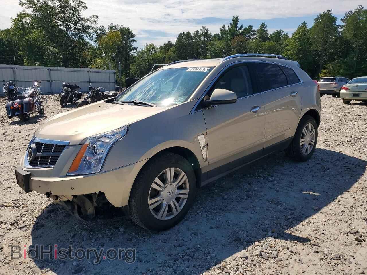 Фотография 3GYFNDEY7BS555504 - CADILLAC SRX 2011