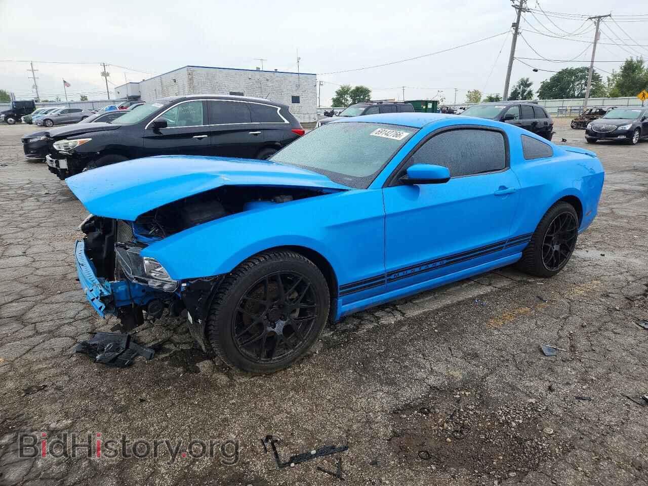 Фотография 1ZVBP8AM8E5202029 - FORD MUSTANG 2014