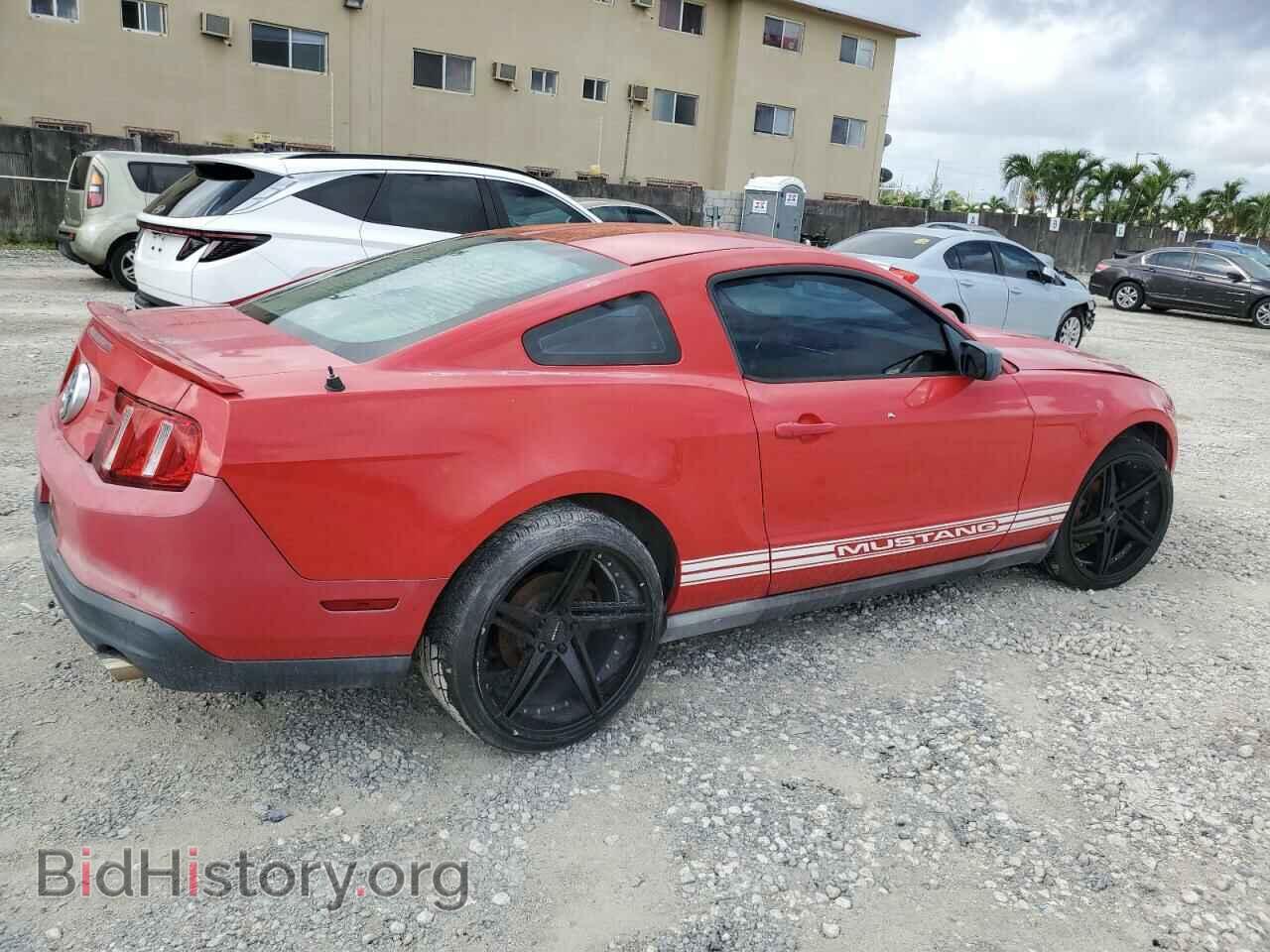 2010 FORD ALL Models - VIN: 1ZVBP8AN4A5131320 - Фото 3