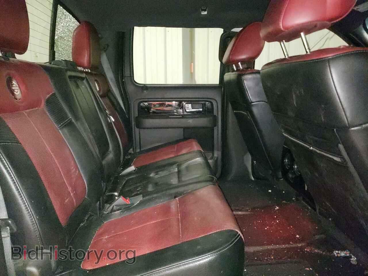 2010 FORD F-150 - VIN: 1FTFW1EV7AFC19300 - Фото 10