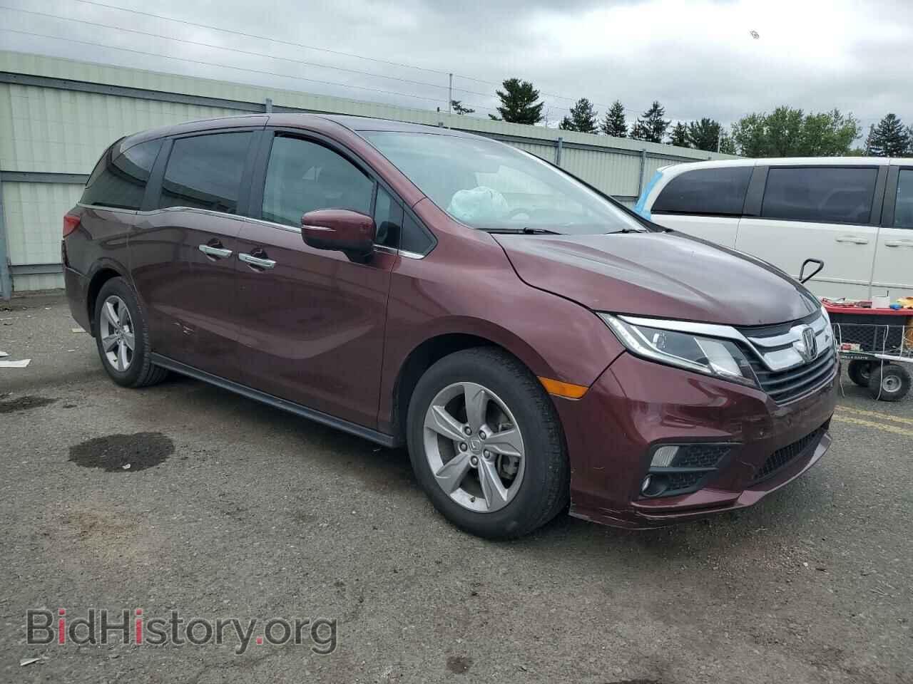 2020 HONDA All Models - VIN: 5FNRL6H77LB060009 - Фото 4