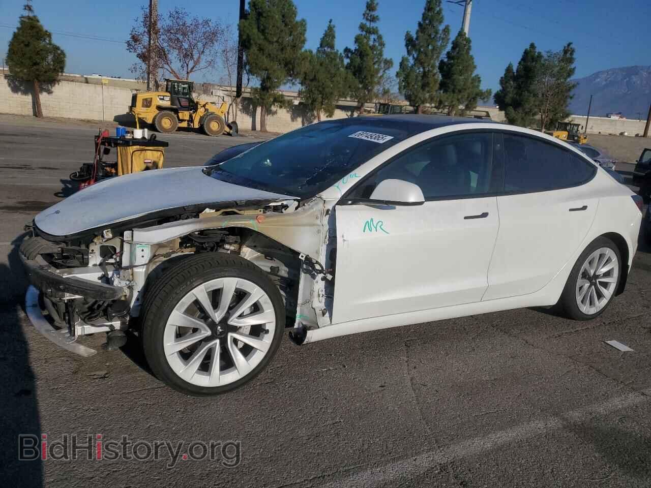 Photo 5YJ3E1EA7MF068390 - TESLA MODEL 3 2021