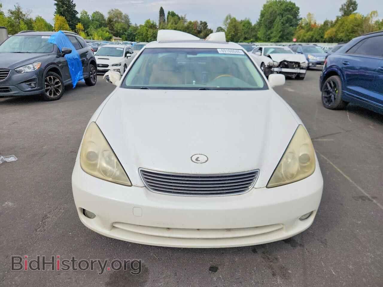 2005 LEXUS ES330 - VIN: JTHBA30G655130443 - Фото 5