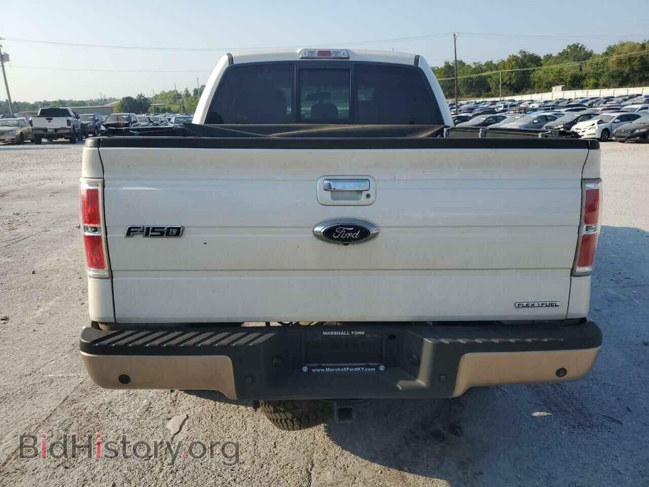 2013 FORD F-150 - VIN: 1FTFW1EF0DFC61708 - Фото 6