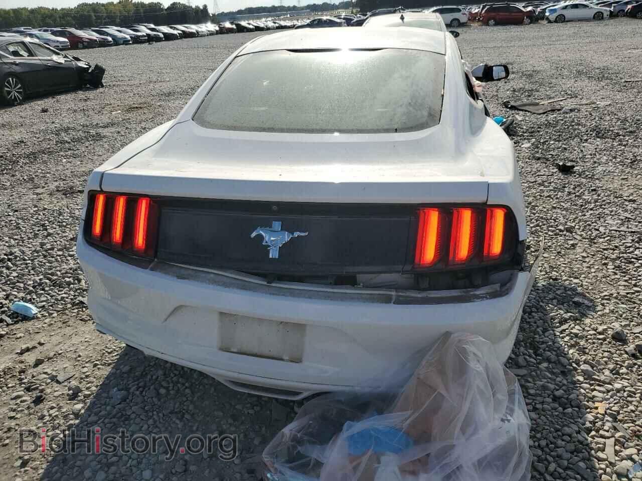 2016 FORD ALL Models - VIN: 1FA6P8AM8G5218759 - Фото 6