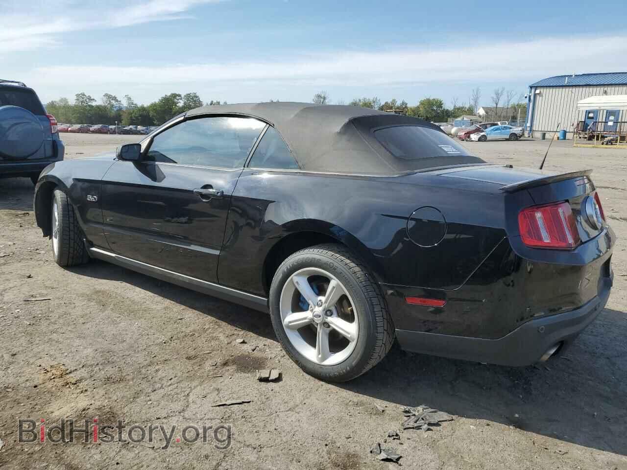 2012 FORD MUSTANG - VIN: 1ZVBP8FFXC5274003 - Фото 2