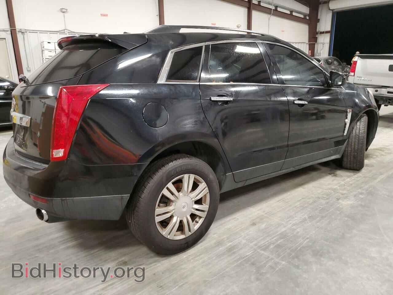 2010 CADILLAC SRX - VIN: 3GYFNGEY1AS524281 - Фото 3