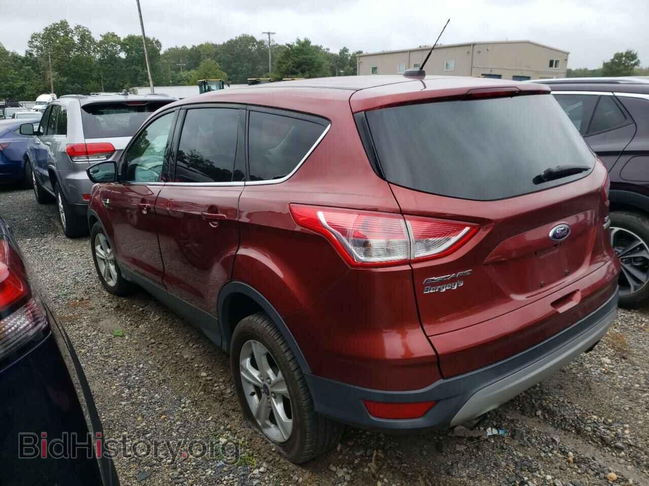 2014 FORD ESCAPE - VIN: 1FMCU0GX4EUC10648 - Фото 2