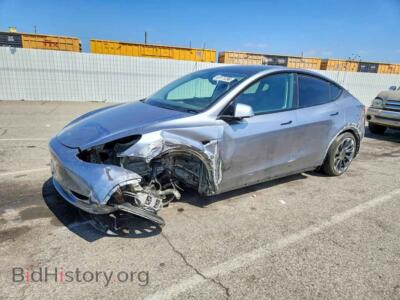 2024 Tesla MODEL Y, серый — VIN 7SAYGDEE8RA293980, Copart