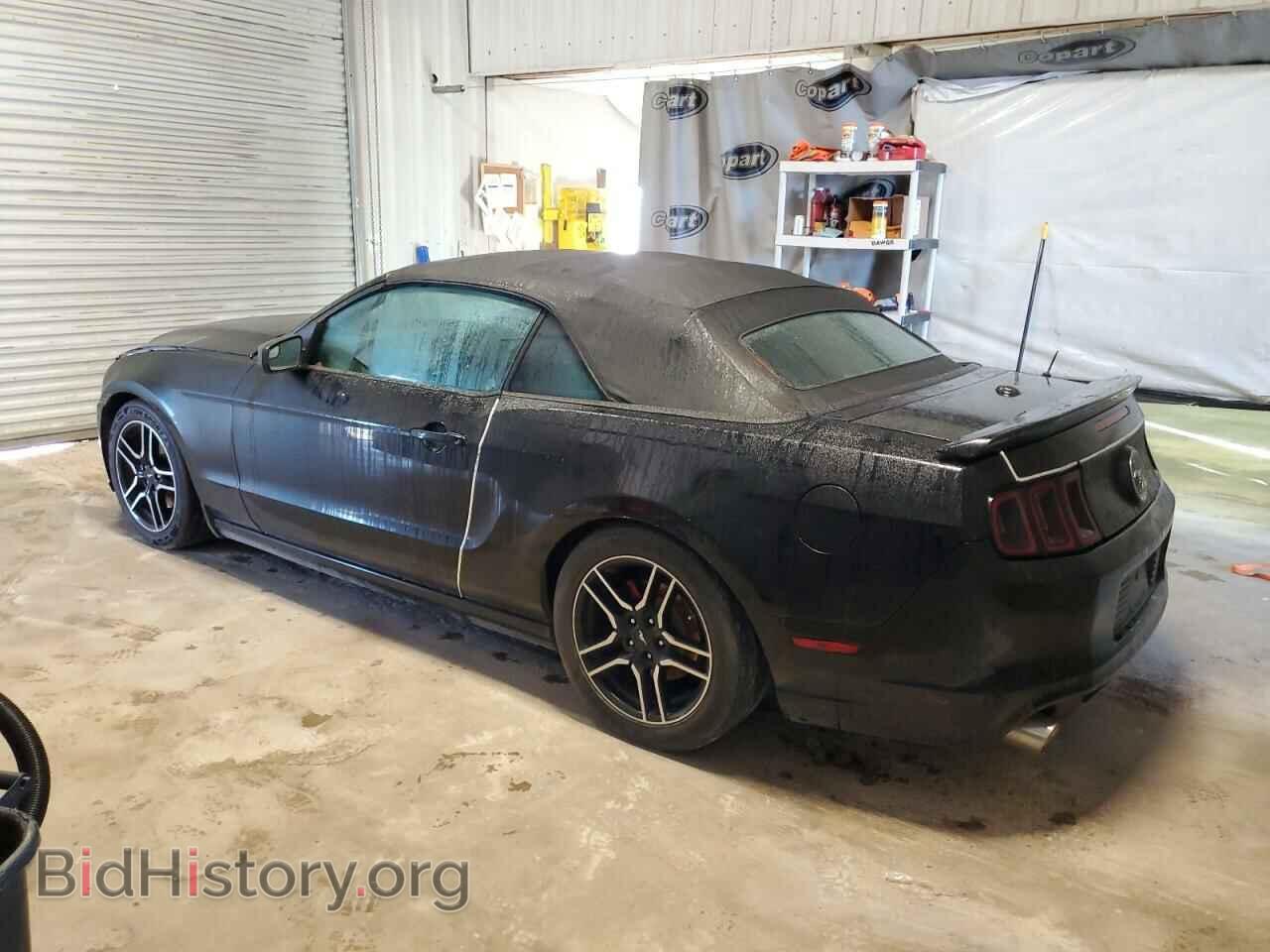 2013 FORD MUSTANG - VIN: 1ZVBP8EM7D5248234 - Фото 2