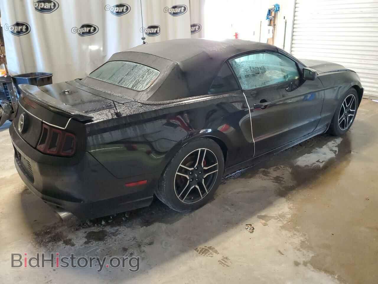 2013 FORD MUSTANG - VIN: 1ZVBP8EM7D5248234 - Фото 3